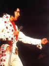 king08.jpg (33676 octets)